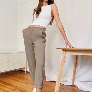 Aritzia Babaton Pants